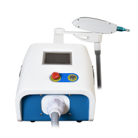 2020 ND yag laser portable ptp laser tattoo removal instrument q switched nd yag laser